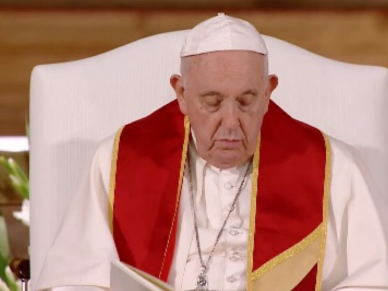 Papa Francisco pide disculpas.