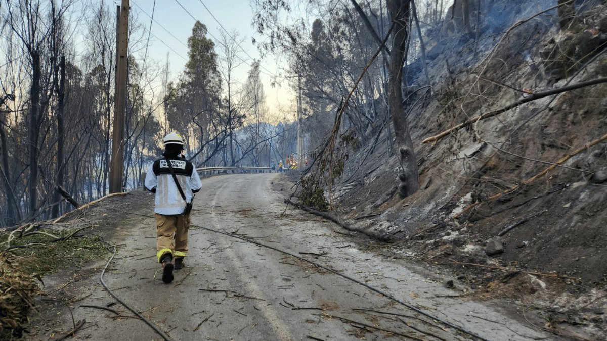 Incendios forestales en la región de O'Higgins. Temuco