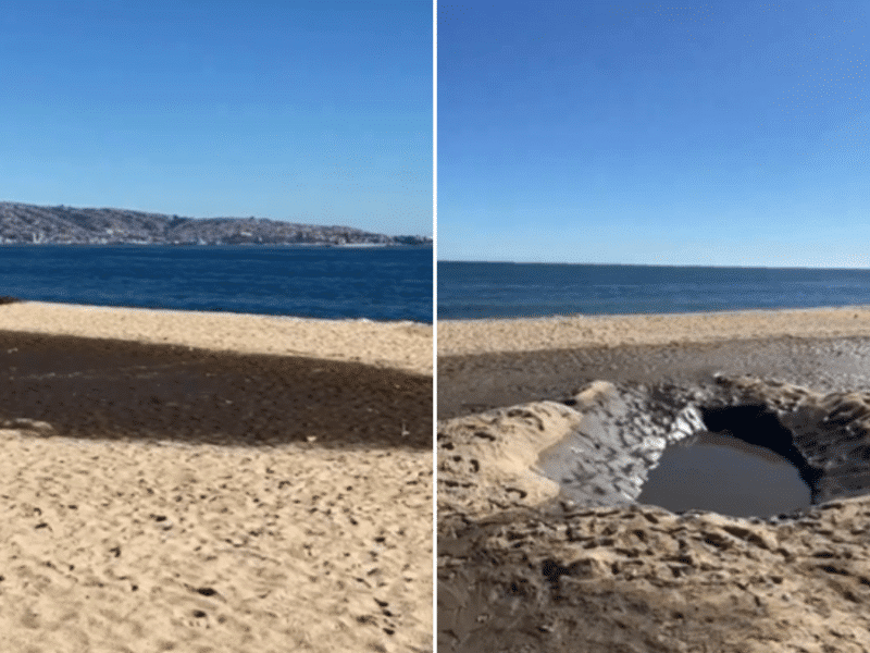 Aparecen manchas negras en Playa Los Marineros de Viña del Mar.