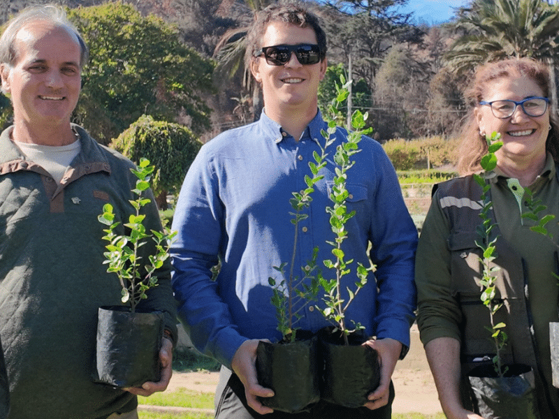 Jardín Botánico de Viña del Mar recibió donación de 2.000 árboles nativos
